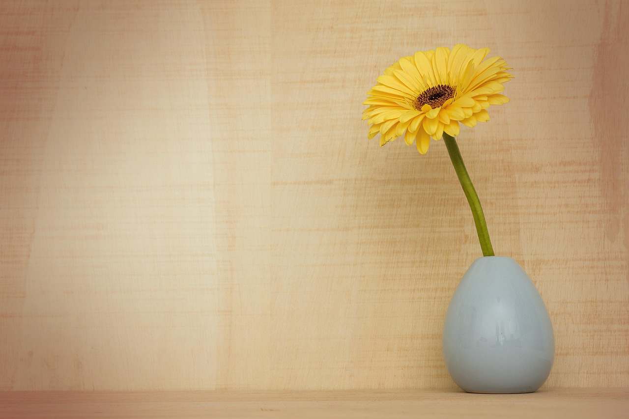 sono