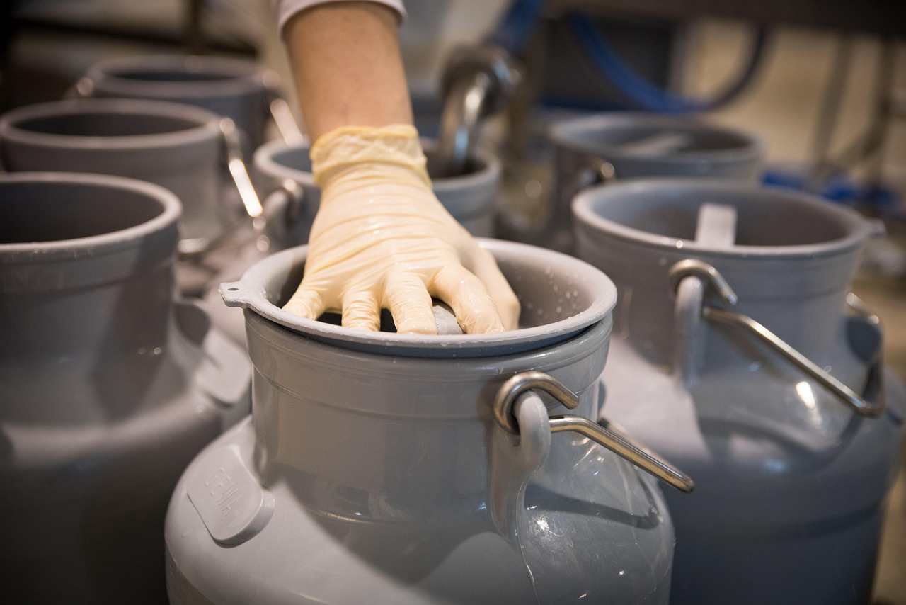 Doenças intestinais: quais são os sintomas e como tratá-las.